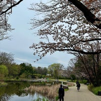 Photo taken at せせらぎ公園 by いんでぶ on 4/2/2024