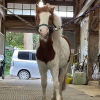 Photo taken at Gakushuin University Equestrian team by いんでぶ on 6/5/2023