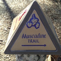 Photo taken at Muscadine Trail (Houston Arboretum) by CJT on 2/17/2013