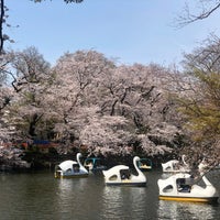 Photo taken at Inokashira Park by Poya on 3/27/2021