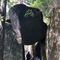 弁慶七戻り つくば市 茨城県