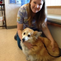 nottingham vet clinic