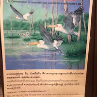 厚岸水鳥観察館 Museum In 厚岸町 厚岸水鳥観察館 Museum In 厚岸町