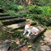 汐止大尖山登山步道