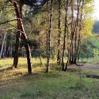 Photo taken at Кузьминское участковое лесничество by An P. on 8/15/2021