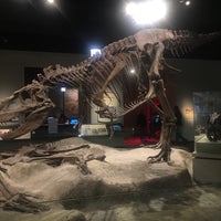 Photo taken at Hall Of Dinosaurs by Sandy A. on 1/18/2020