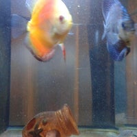 Review De latinos cluster brazil