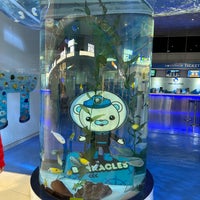 Photo taken at COEX Aquarium by Josh R. on 3/13/2024