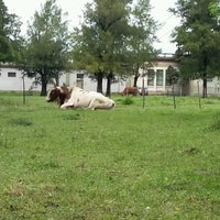 Photo taken at Facultad de Ciencias Veterinarias (UBA) by Victoria on 10/20/2016