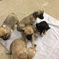 Photo taken at PetSmart by Kelly M. on 11/15/2014