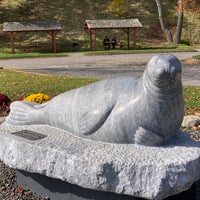 Andre The Seal 1 Tip