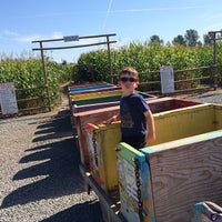 Photo taken at Meadows Maze by Steve T. on 9/13/2014