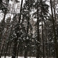 Photo taken at Матвеевский (Волынский) лес by Алена on 12/28/2018