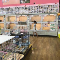 コーナン 鶴見元宮店 Vivero En 鶴見区