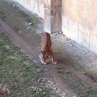 Foto diambil di Flamingo Land oleh Anete A. pada 4/8/2018