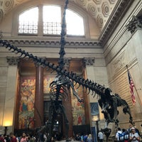 Photo taken at American Museum of Natural History Museum Shop by Lucy R. on 6/5/2018