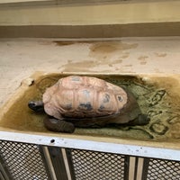 Photo taken at Reptile Discovery Center by Santiago F. on 11/2/2018