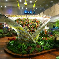 Photo taken at Singapore Changi Airport (SIN) by Petr D. on 7/21/2013