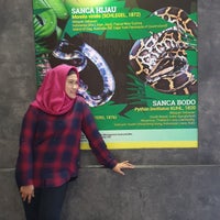 Photo taken at Museum Reptilia - TMII by Agung D. on 7/7/2019