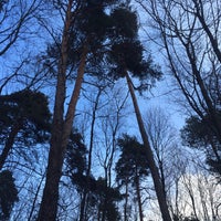 Photo taken at Покровское-Стрешнево (природно-исторический парк) by Juli O. on 2/15/2015
