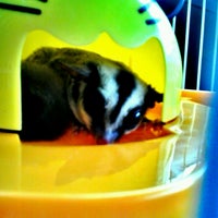 Pejabat Veterinar Negeri Terengganu Kuala Terengganu Terengganu