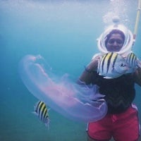 2/1/2017에 Aqua Adventure님이 Aqua Adventure에서 찍은 사진