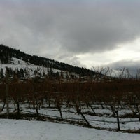 Photo taken at Township 7 Vineyards &amp;amp; Winery (Naramata/Penticton) by Dennis P. on 12/13/2012
