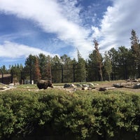 Grizzly and wolf discovery center coupon
