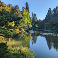 Photo taken at Seattle Japanese Garden by Anna P. on 10/17/2022
