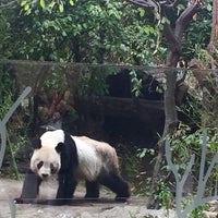 Photo taken at Schönbrunn Zoo by BERRAK on 8/25/2015