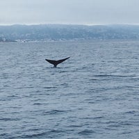 Photo taken at Davey&amp;#39;s Locker Sport Fishing &amp;amp; Whale Watching by gno m. on 4/27/2019
