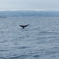 รูปภาพถ่ายที่ Davey&amp;#39;s Locker Sport Fishing &amp;amp; Whale Watching โดย gno m. เมื่อ 4/27/2019