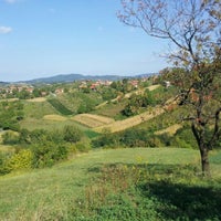 Photo taken at Vinograd Dinjari by Maja D. on 9/15/2012
