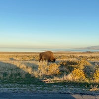 Photo taken at Antelope Island State Park by Shiina on 10/20/2023