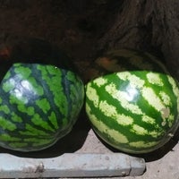 Где Купить Арбуз В Казани