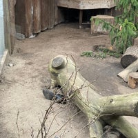 Photo taken at Tallinn Zoo by Viktoria K. on 3/7/2022