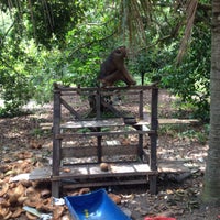 Kampung Tengah Paya Dalam Melaka City
