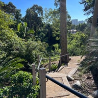 Photo taken at UCLA Mildred E. Mathias Botanical Garden by Andy C. on 10/6/2023