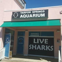 Tarpon Springs Aquarium Tarpon Springs Fl