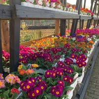 Photo taken at Alexandra Palace Garden Centre by Roya A. on 2/27/2019