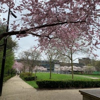 Photo taken at Swiss Cottage by Roya A. on 3/20/2019