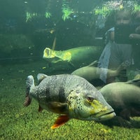 Photo taken at Aquarium Berlin by Andrej B. on 8/14/2023
