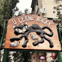 černá kočička bar