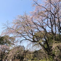 Photo taken at Rikugien Gardens by なべ on 4/2/2024
