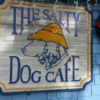 the salty dog cafe shirt