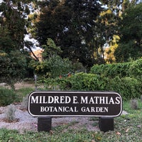 Photo taken at UCLA Mildred E. Mathias Botanical Garden by 山 on 10/4/2021