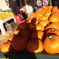 Mountain Valley Ranch Pumpkin Patch Farm