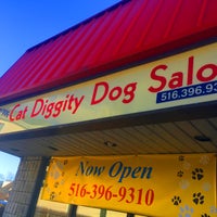 Photo taken at Cat Diggity Dog - Pet Grooming by Cat Diggity Dog - Pet Grooming on 2/17/2017