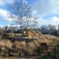 Photo taken at Parc Zoologique de Paris by KN3 on 1/17/2015