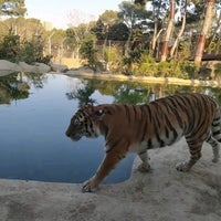 Photo taken at Bakı Zooparkı / Baku Zoo by Gökçe Ç. on 3/27/2022